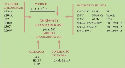 Schemat możliwych kombinacji agregatów, ELEKTRONIKA SA Technika chłodnicza Klimatyzacja