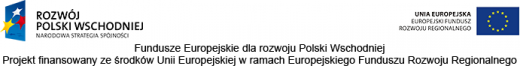 logo, Fundusze Europejskie dla rozwoju Polski Wschodniej Projekt finansowany ze środków Unii Europejskiej w ramach Europejskiego Rozwoju Regionalnego